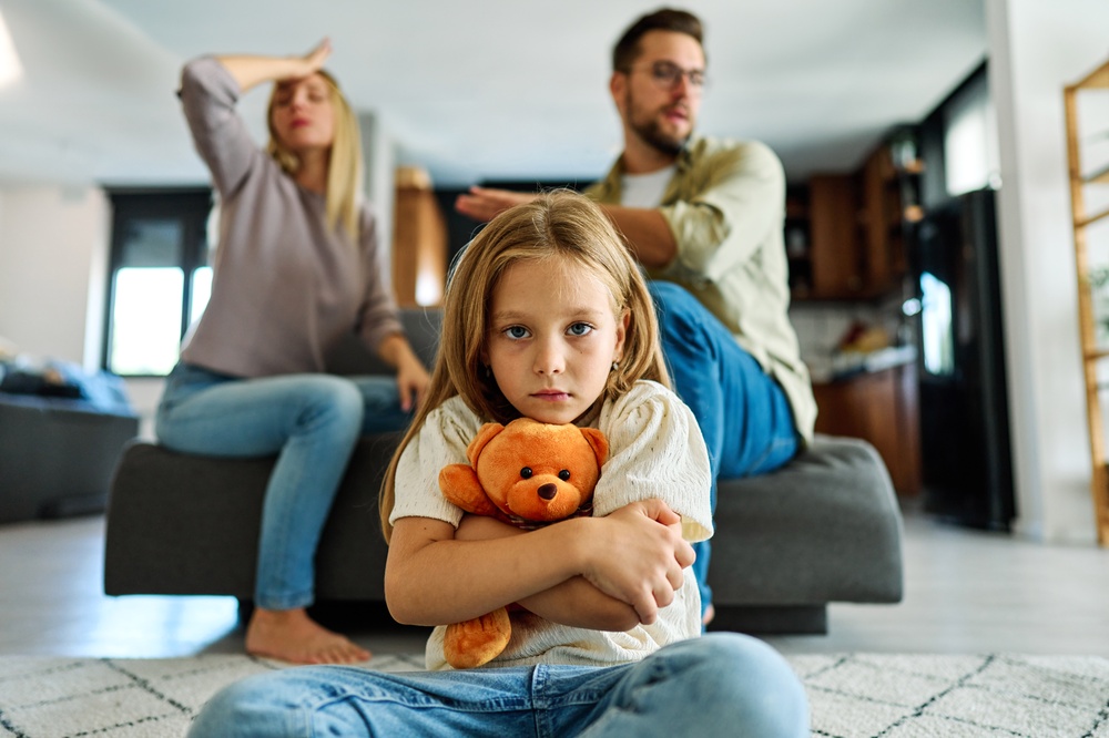 Rochester Family Lawyer Family Law Attorney