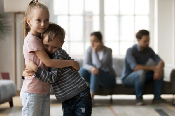 Rochester Family Law Attorney Rochester Divorce & Family Lawyer