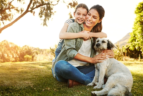 Visitation Rights vs. Custody | Divorce Attorney in Rochester, NY